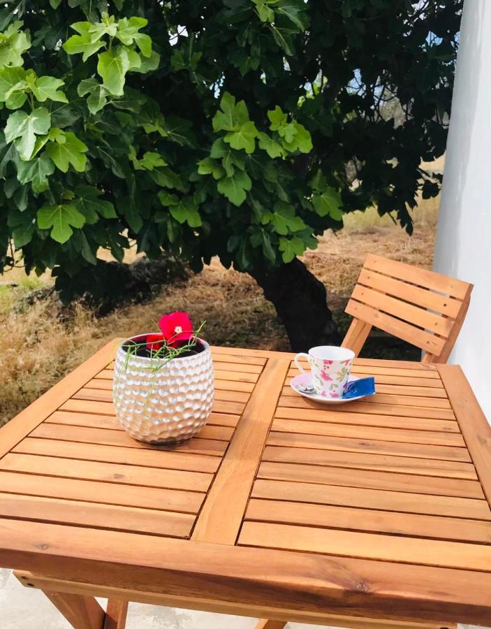 Apartamento Casa 1-Quinta Dos Penedos Portalegre Exterior foto